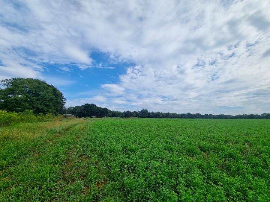 Commercial Property for Sale in Groot Marico North West